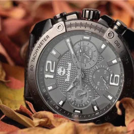 Timberland chronograph watch on dry leaves